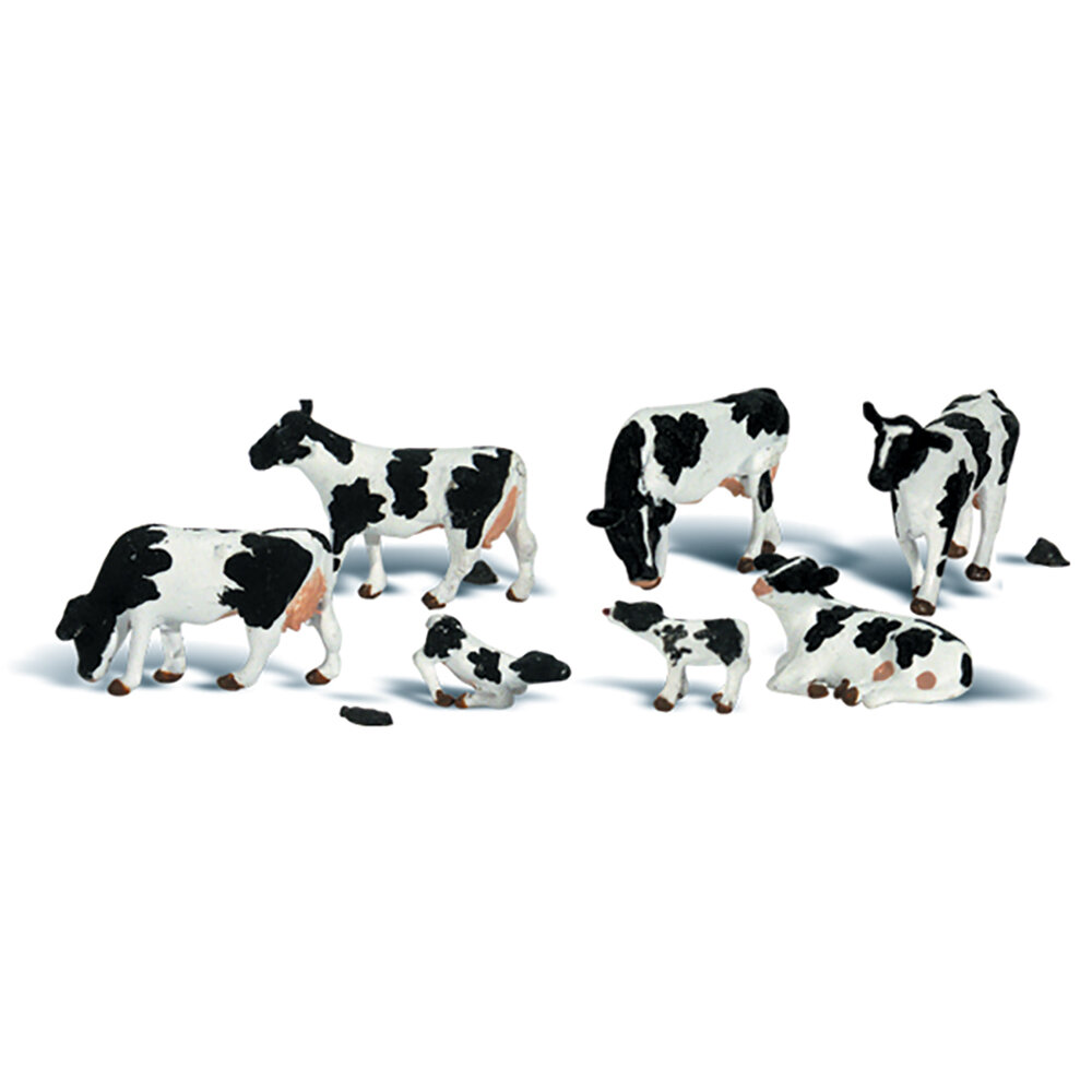HOLSTEIN COW N