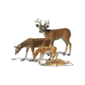 BUCK AND FAMILY G