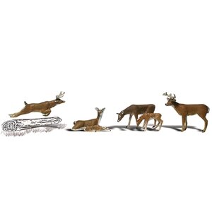 DEER O