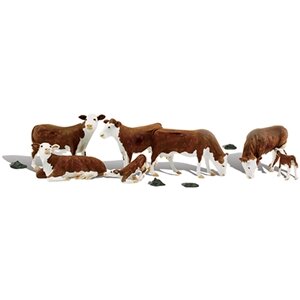 HEREFORD COWS O