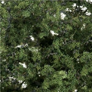 Mediun Green Shrubs & Saplings