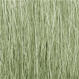 LIGHT GREEN (4)