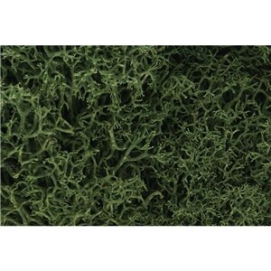 MEDIUM GREEN LICHEN