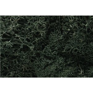 DARK GREEN LICHEN
