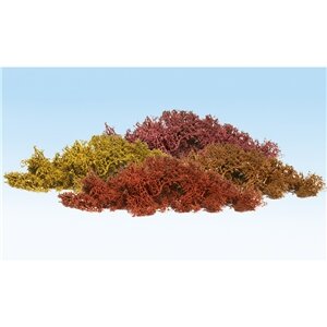 AUTUMN MIX LICHEN