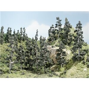 2″-4″ PINE FOREST 24