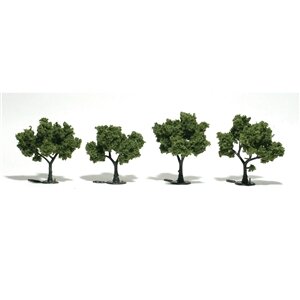 TREE LT. GREEN 2″-3″