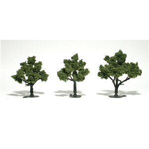 TREE LT. GREEN 3″-4″