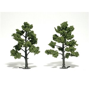 TREE LT. GREEN 5″-6″
