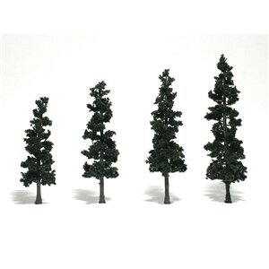 CONIFERS GREEN 4″-6″