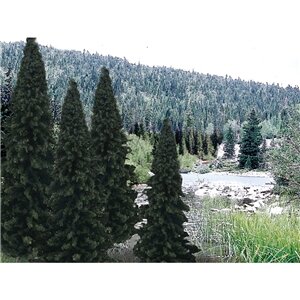 TREE EVERGR.BL. 4″-6″ 13