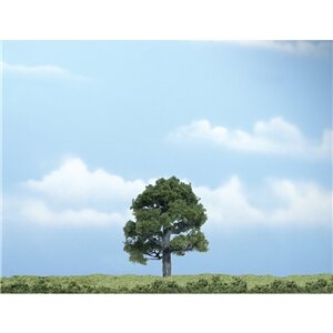 PREMIUM TREES OAK 1