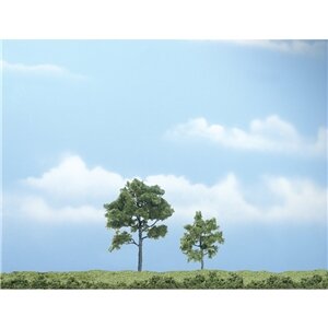 PREMIUM TREES LOCUST 2