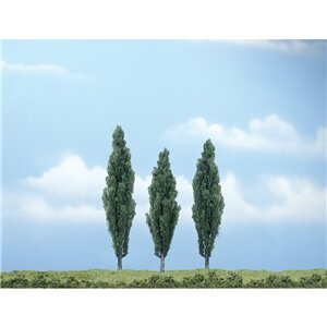 PREMIUM TREES POPLAR 3