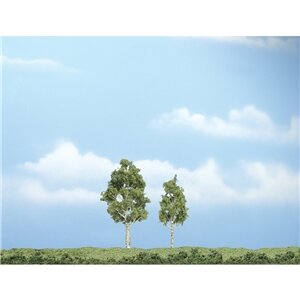 PREMIUM TREES ASPEN 2