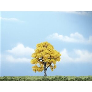 PREMIUM TREES FALL BEECH1