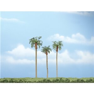 PREMIUM TR. ROYAL PALM 3