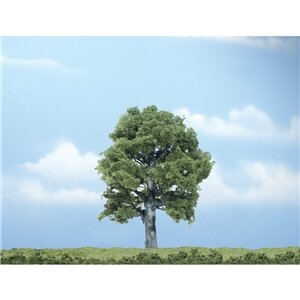 PREMIUM TREES OAK 1 (1)