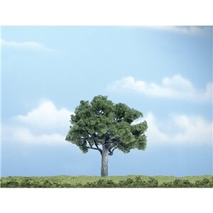 PREMIUM TREES WALLNUT 1
