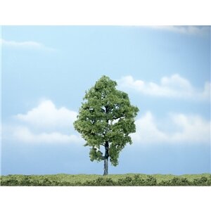 PREMIUM TREES HICKORY 1