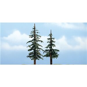 PREMIUM TREES LODGEPOLE 2