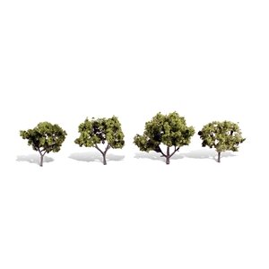 EARLY LIGHT 2″-3″