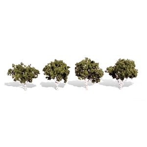 WATERS EDGE BIRCH 2″-3″
