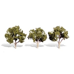 WATERS EDGE BIRCH 4″-5″