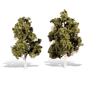 WATERS EDGE BIRCH 6″-7″