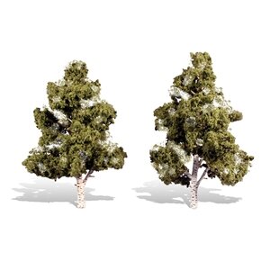 WATERS EDGE BIRCH 7″-8″