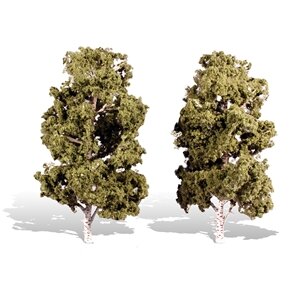 WATERS EDGE BIRCH 8″-9″