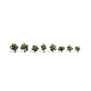 EARLY LIGHT 3/4″-1-1/4″