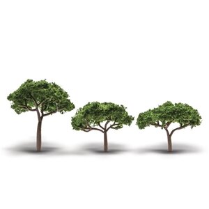 2.3″-3.3″ Stone Pine 3/Pkg