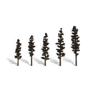 STANDING TIMBER 2-1/2″-4″