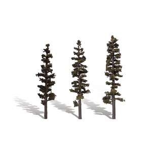 STAND.TIMBER CONIFER6″-7″