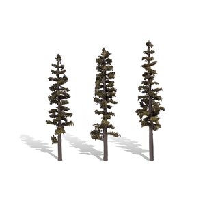 STANDING TIMBER 7″-8″