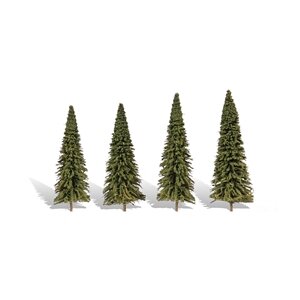 FOREVER GREEN (FIR) 4″-6″