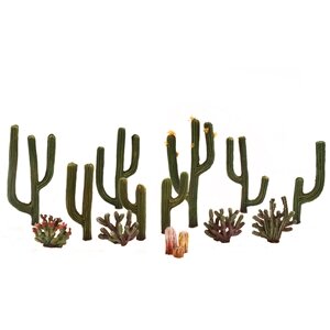 CACTUS PLANTS 1/2″-2-1/2″